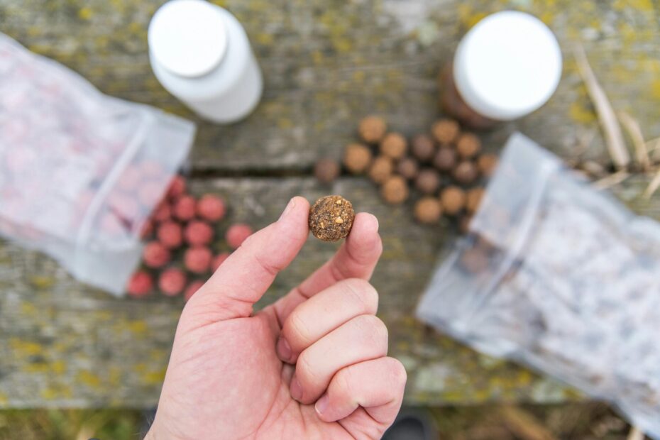 Naturköder, Karpfenköder: Boilies