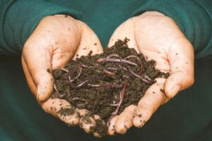 Naturköder zum Angeln