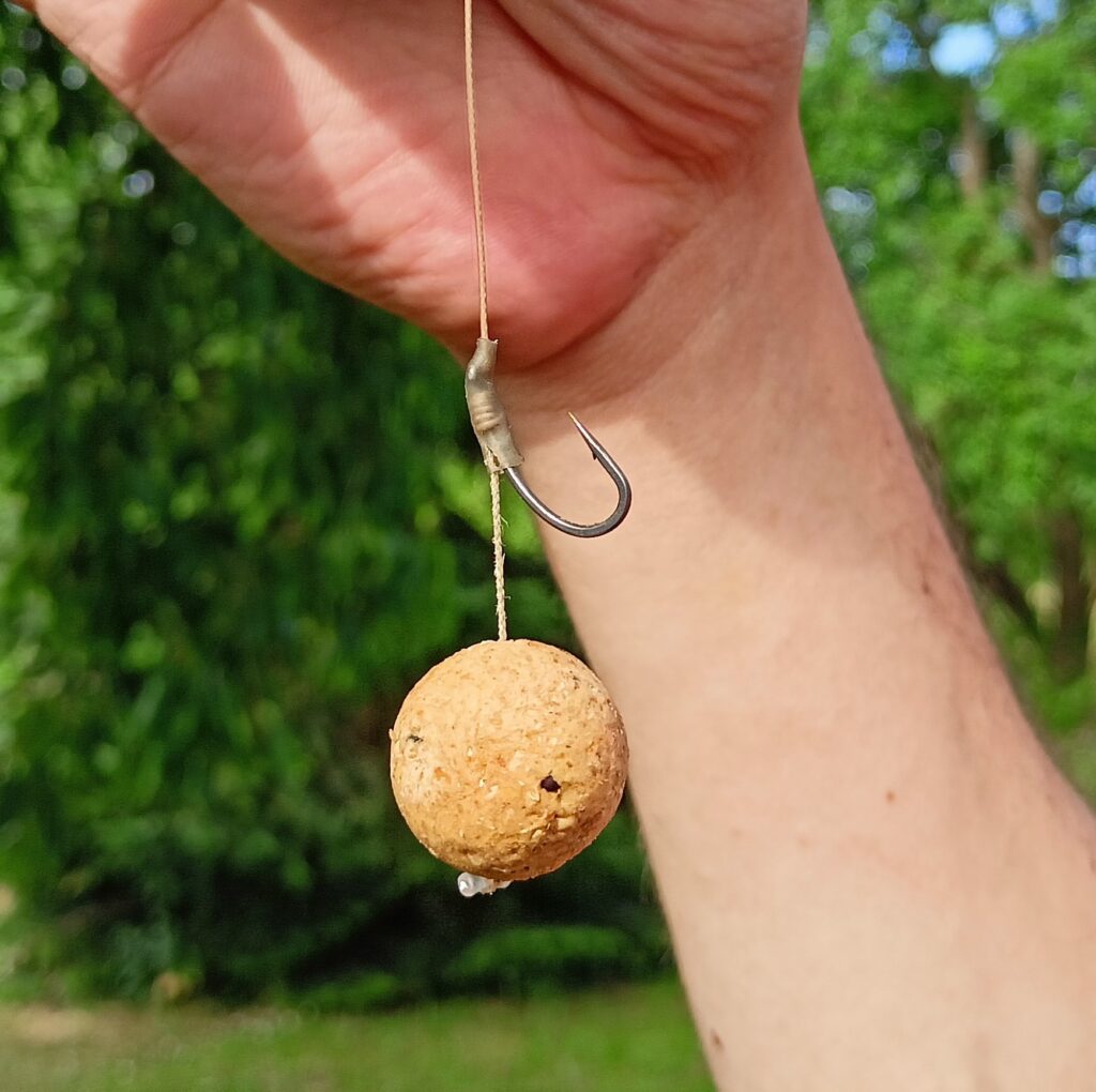 Karpfenmontage: Haarmontage - No-Knot-Rig